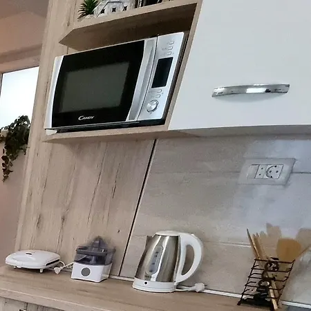 Sing 公寓 扎达尔